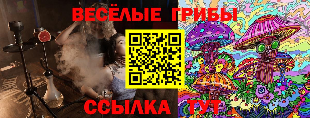 Галлюциногенные грибы Cubensis Белорецк