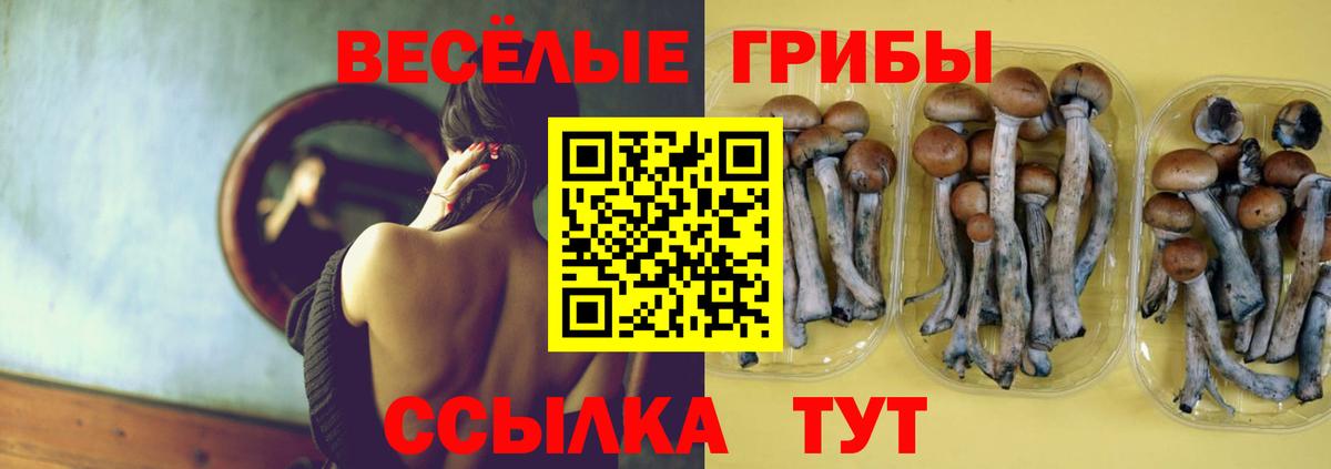 Галлюциногенные грибы мицелий  цена наркотик  Псилоцибиновые грибы Cubensis  Белорецк  Вход с VPN 